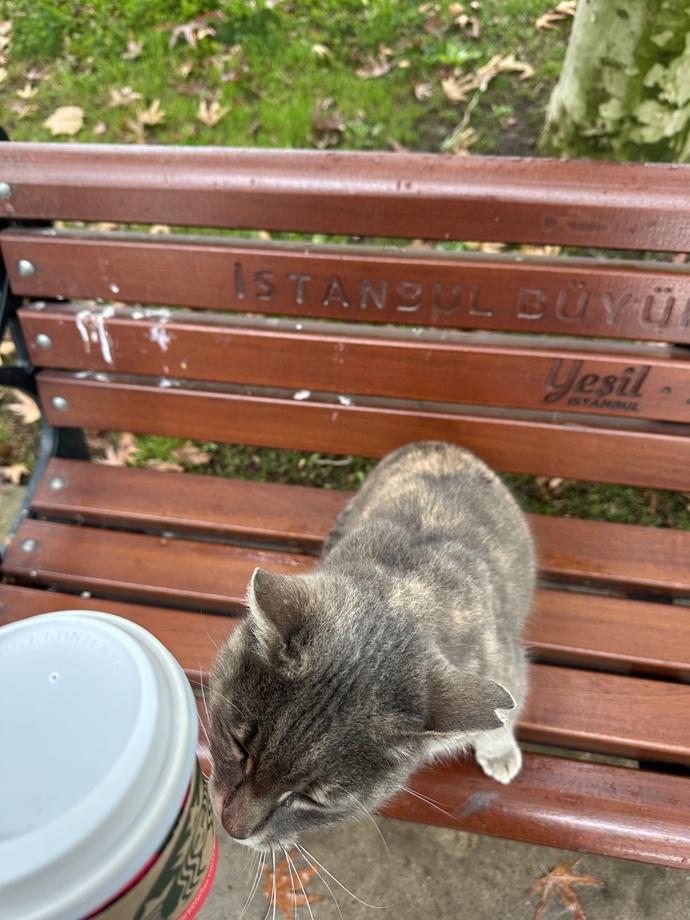 Pazar kahveni kiminle nerde içiyorsun?
