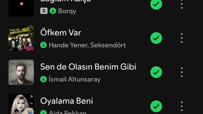 Neden bir tarzım olmaz anlamıyorum?