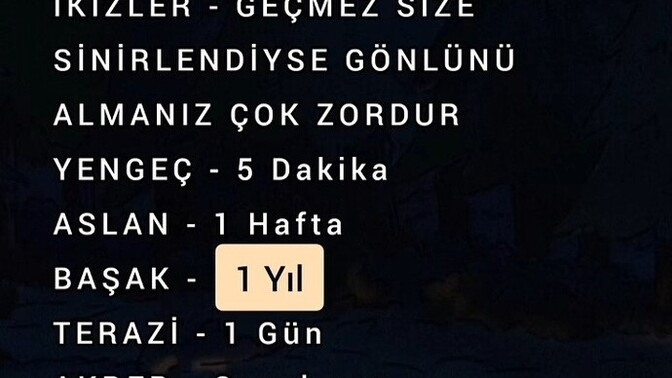 Sinirli birimisinizdir?