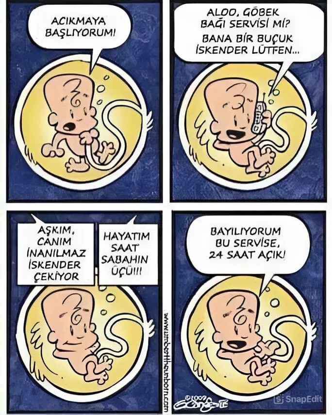 İnsanın canı, tadını bilmediği bir şeyi çekebilir mi?