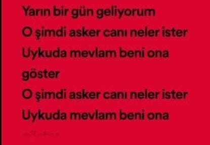 O şimdi asker canı neler ister şarkısını dinlediniz mi?
