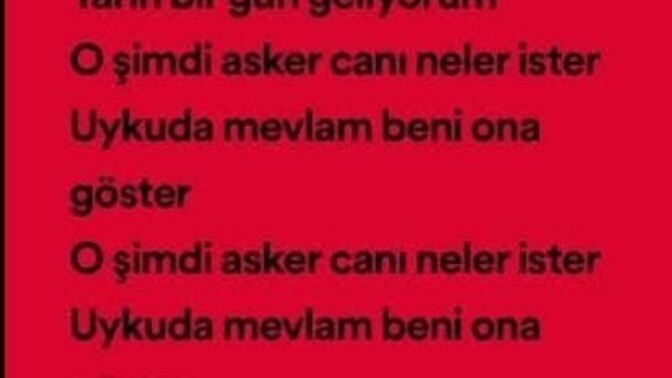 O şimdi asker canı neler ister şarkısını dinlediniz mi?