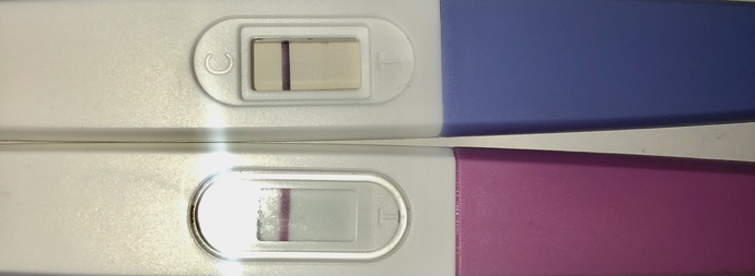 Var mı yok mu hamilelik?