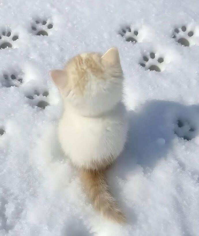 Şu an mesaj atsa mutlu olurum dediğiniz biri var mı?