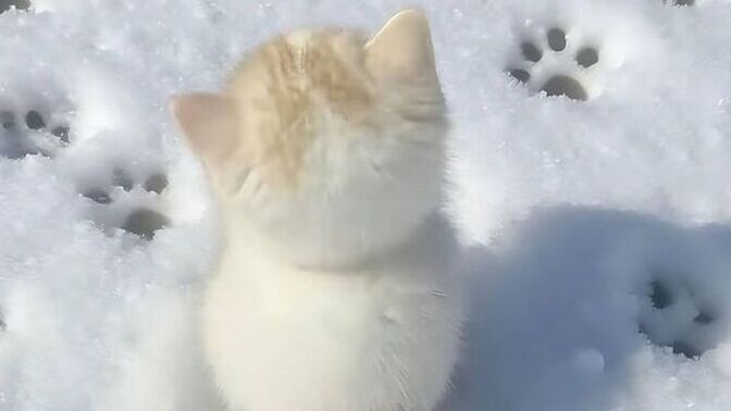 Şu an mesaj atsa "mutlu olurum" dediğiniz biri var mı?