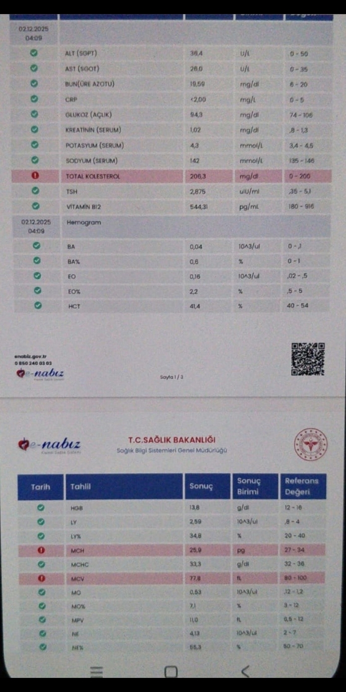 Dışarıda yemek yiyor musunuz?