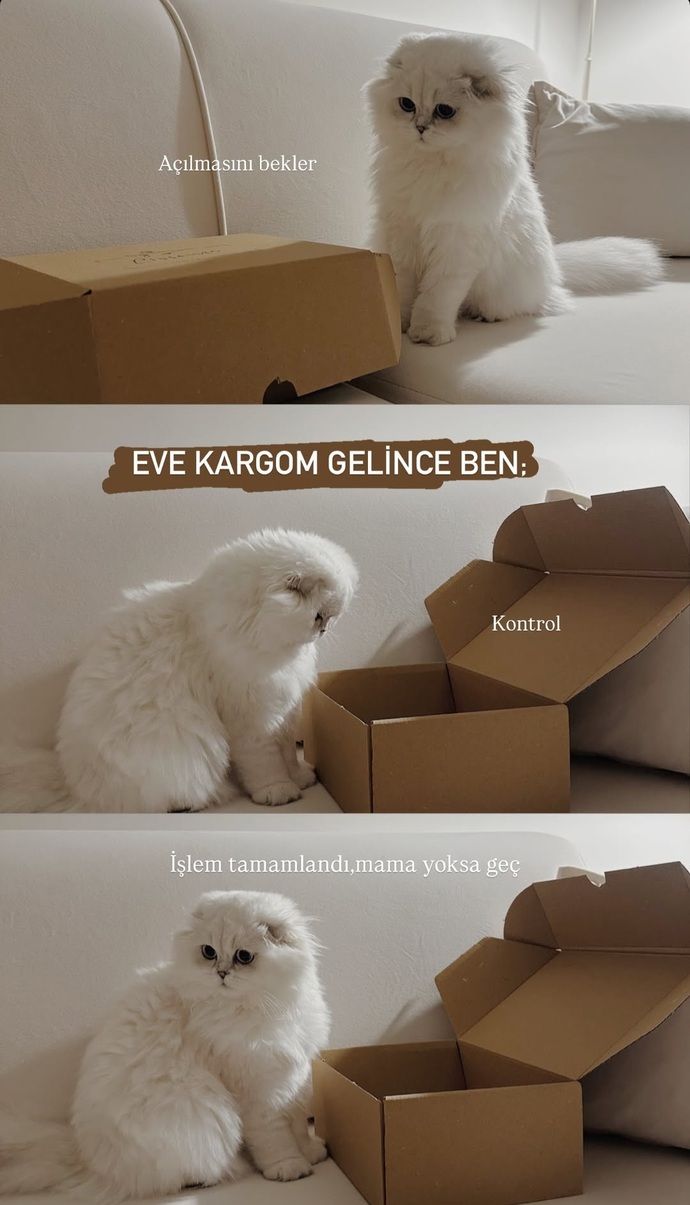 Kargo boş çıkınca senin de suratın böyle oluyor mu?