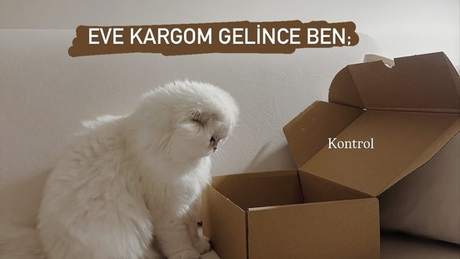 Kargo boş çıkınca senin de suratın böyle oluyor mu?