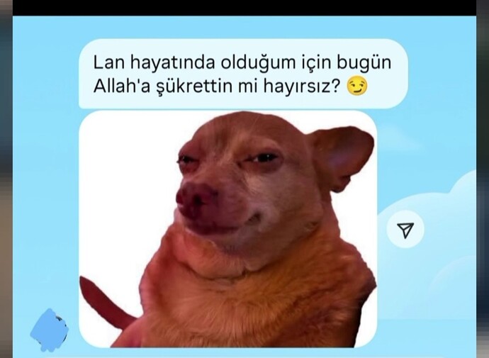 Hayatında olduğunuz için şükreden insanlar var mı?