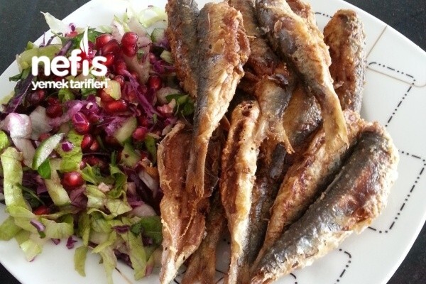 Harika bir ikili 👌🏻