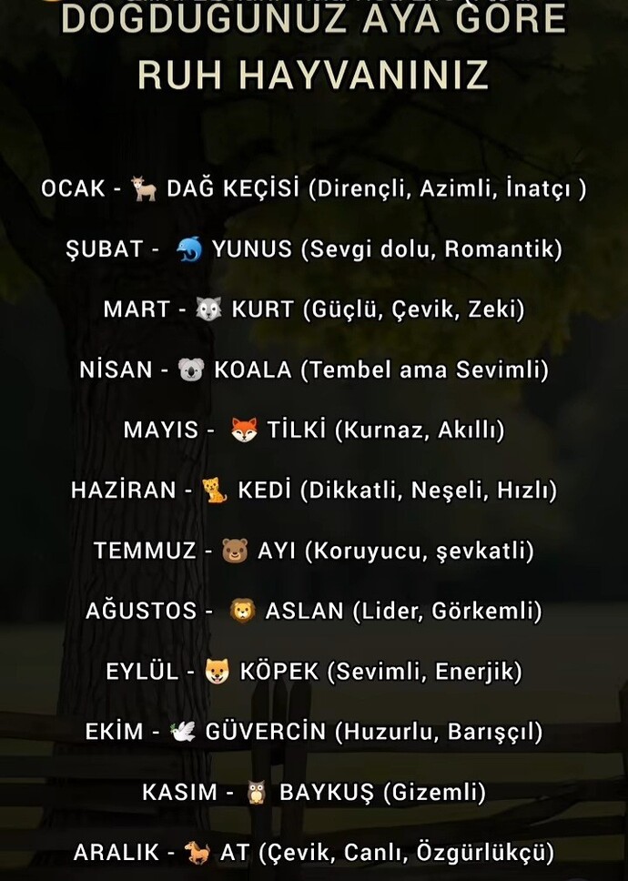 Doğduğunuz aya göre ruh hayvanınız neymiş?