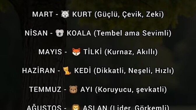 Doğduğunuz aya göre ruh hayvanınız neymiş?