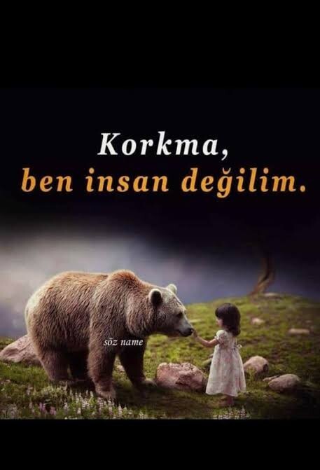 Suçsuz musunuz?