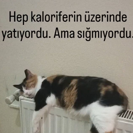 Yağmur mu yoksa kar yağınca mı daha çok mutlu olursunuz?