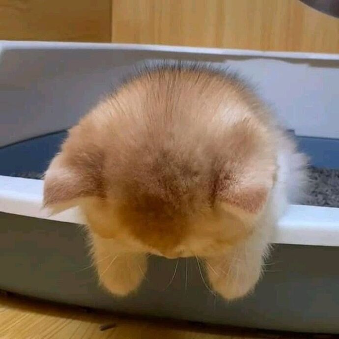 Bu saatte sufle yapıp yesem pişman olur muyum acaba?