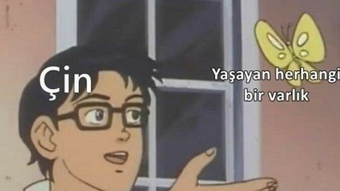 Çinliler neden her şeyi yiyor?