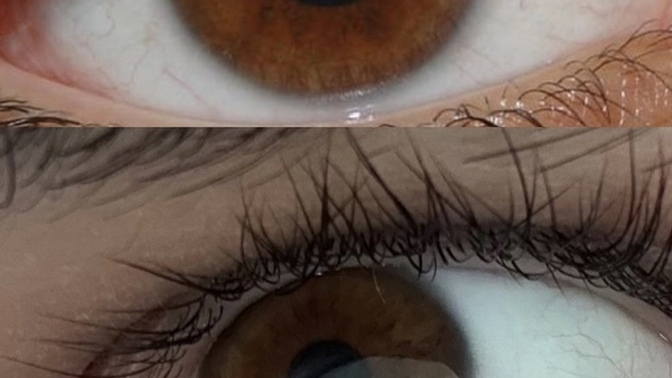 Bu gözler hangi kahve tonunda ve hangisi daha açık?