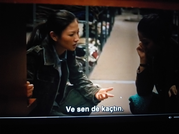 Sessiz sakin filmleri sever misiniz?
