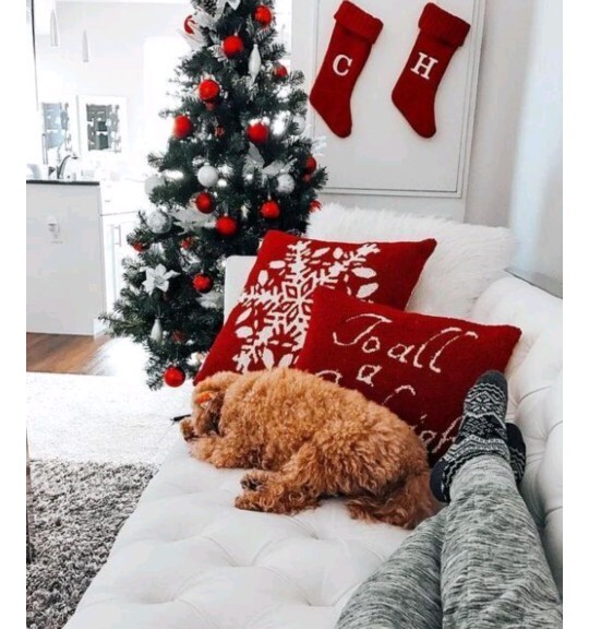 Bütün yıl boyunca toplam kaç tane film izledin?