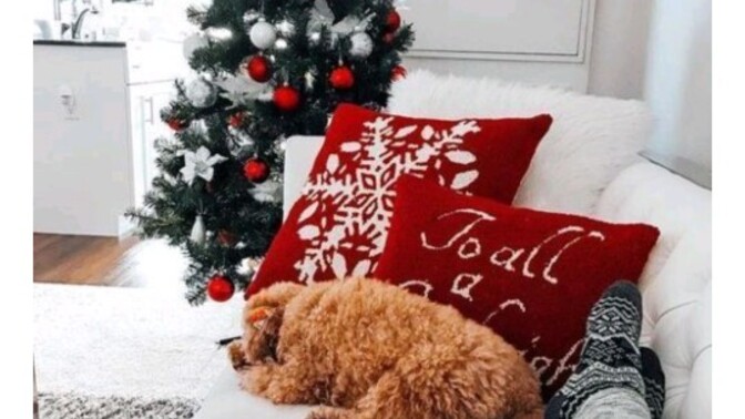 Bütün yıl boyunca toplam kaç tane film izledin?