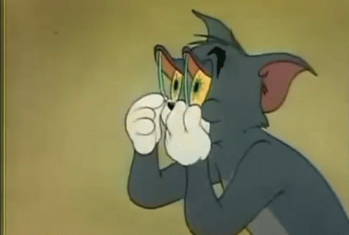 Bu kaban güzel mi?