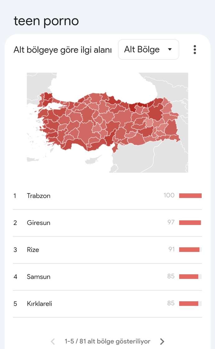 Ülkemizde en çok hangi c! nsel içerik türü tüketiliyor biliyor musunuz?