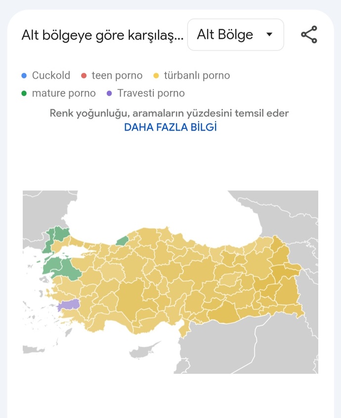 Ülkemizde en çok hangi c! nsel içerik türü tüketiliyor biliyor musunuz?