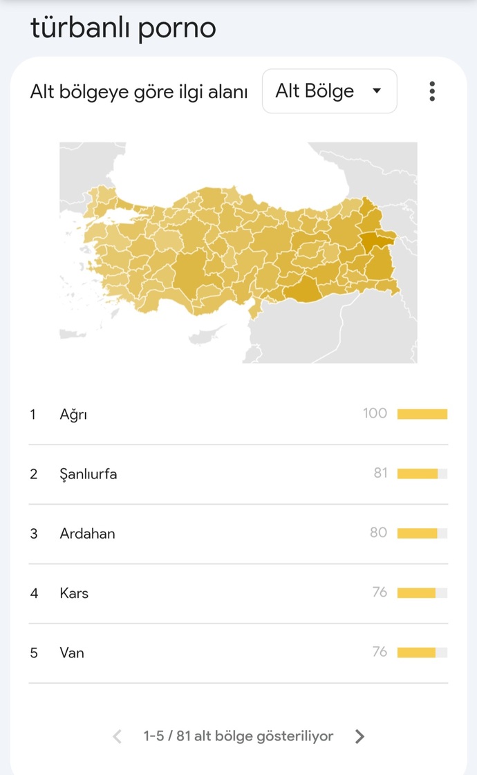 Ülkemizde en çok hangi c! nsel içerik türü tüketiliyor biliyor musunuz?