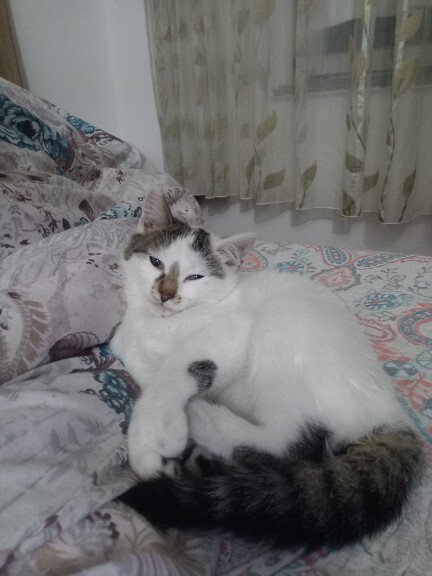 En son ne zaman size bir Tanrı misafiri uğradı?