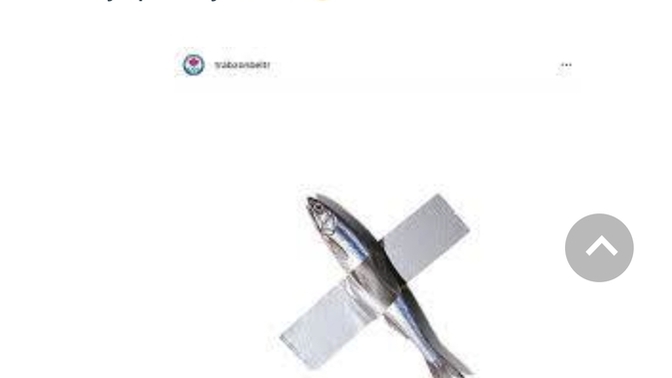Bu balık resmi nedir?