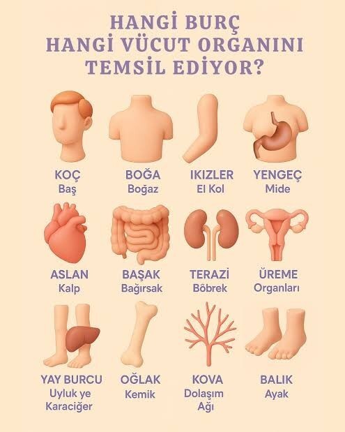 Hangi burca sahipsiniz?