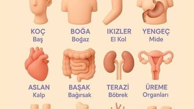 Hangi burca sahipsiniz?