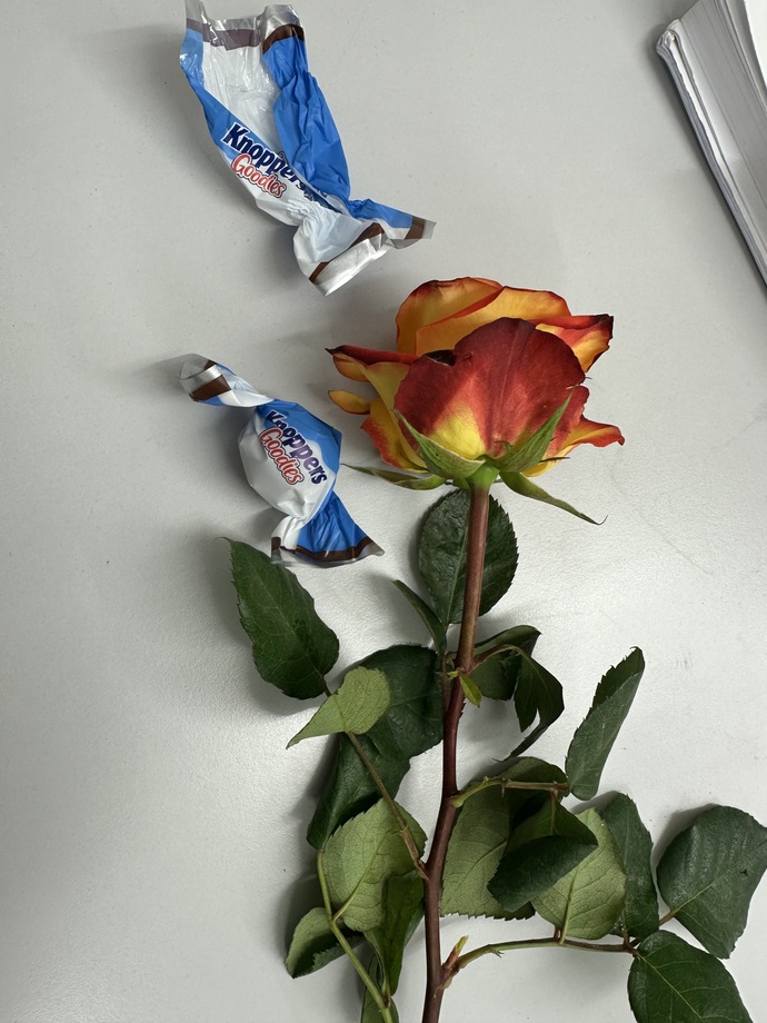 Günaydıınn sabahınız yeni mi başlıyor yoksa çoktan başladı mıı?