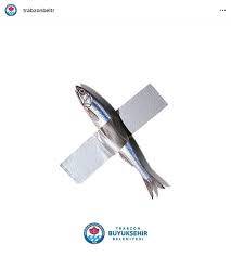 İnsanlar kendilerini teshir etmeye ucuz gostermeye neden bu kadar merakli burada gerci cogu gizli hesap fake ama amac ne?