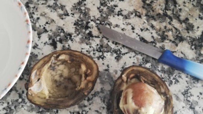 Şimdi bu hayal kırıklığı değil de ney? Birilerinin içinde böyle değil mi?