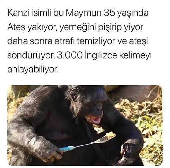 Yalnız yasamanın artıları ve eksileri nelerdir?