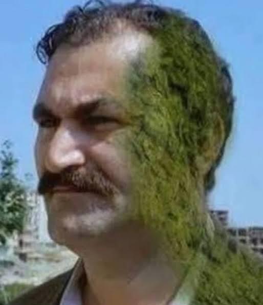 Bir erkeğin cinsel performansı maksimum kaç yaşına kadar devam eder?