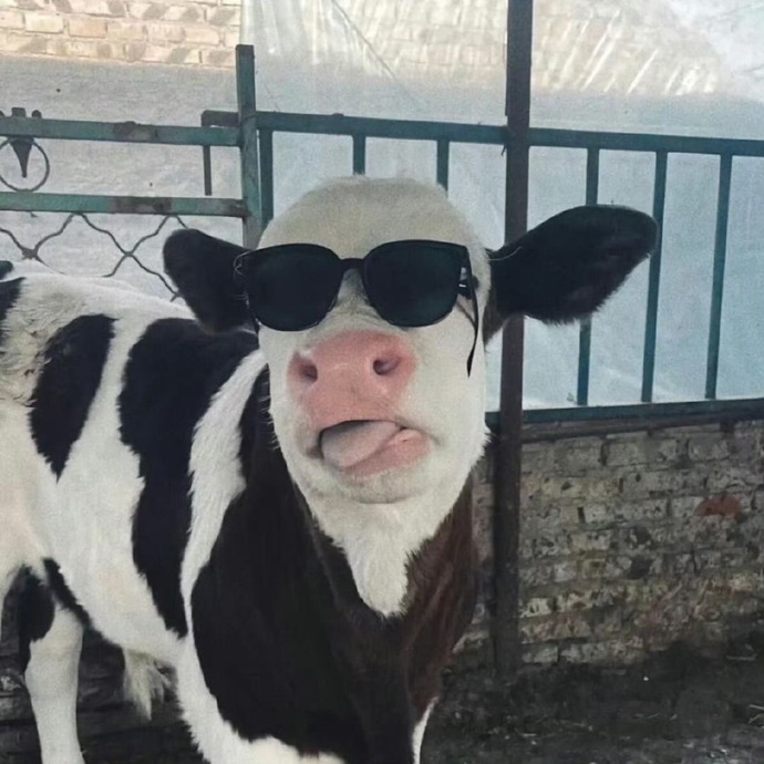 Tek başınıza zaman geçirirken eğlenebiliyor musunuz?