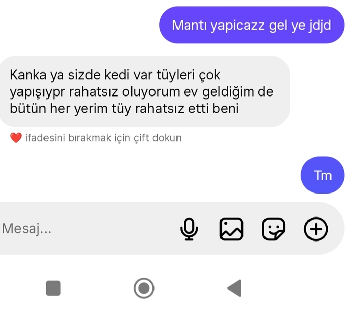 Siz olsanız ne derdiniz?