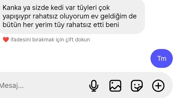 Siz olsanız ne derdiniz?
