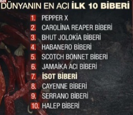 Kendi yağında kavrul, kendi yolunda kaybol 🌶🧚‍♀️