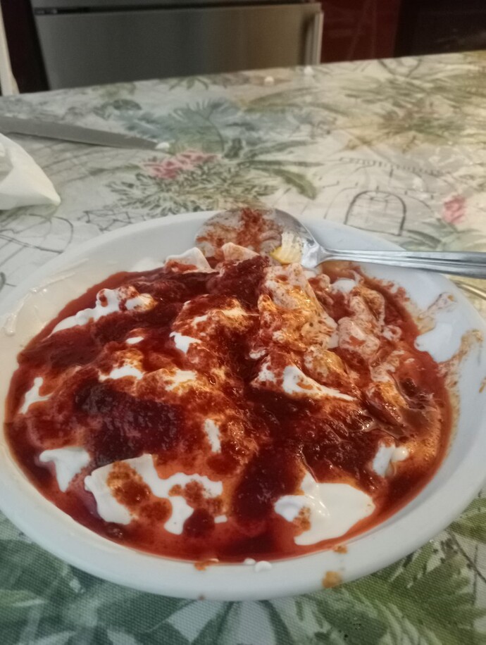 Bu mantı olmuş mu sizce?