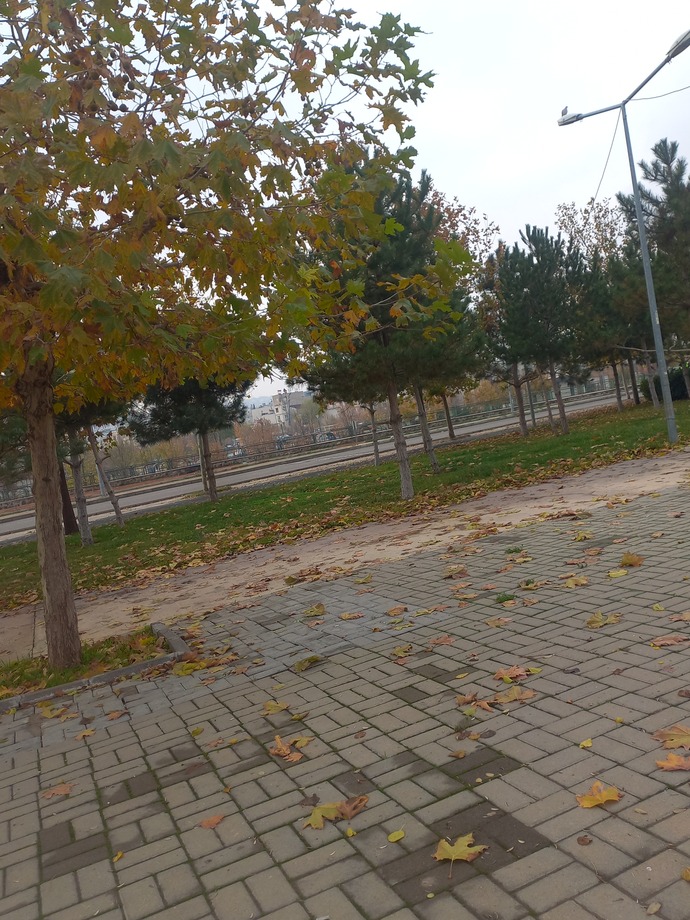 Yılbaşı sizin için bir anlam ifade ediyor mu?