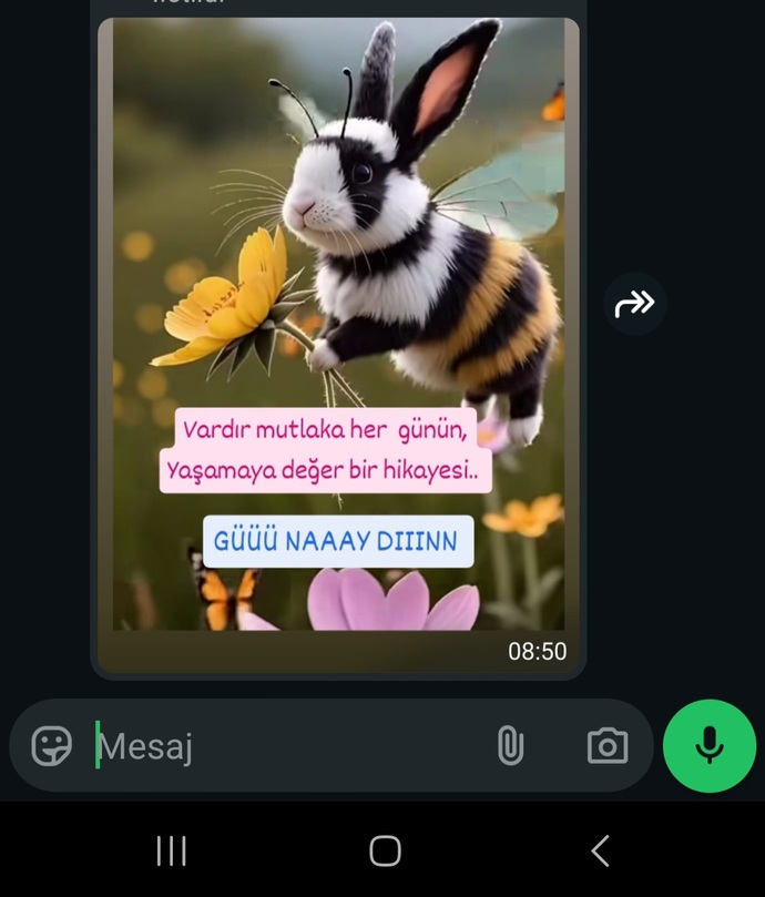 Güne enerjik başlayabiliyor musun?