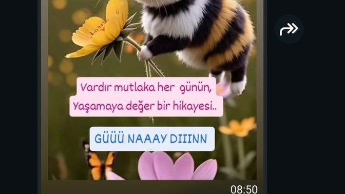 Güne enerjik başlayabiliyor musun?