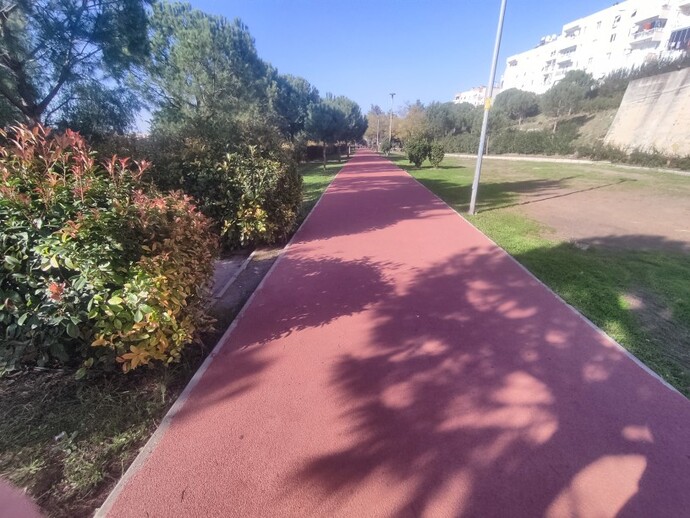 Haftada kaç günü esneme ve kasları gevşetme aktivitesi olarak günü olarak değerlendiriyorsunuz?