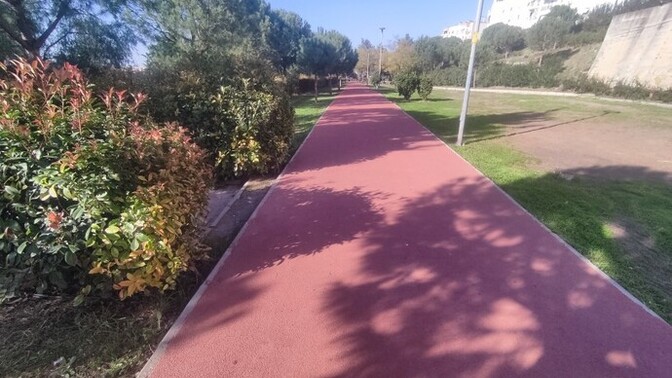 Haftada kaç günü esneme ve kasları gevşetme aktivitesi olarak günü olarak değerlendiriyorsunuz?