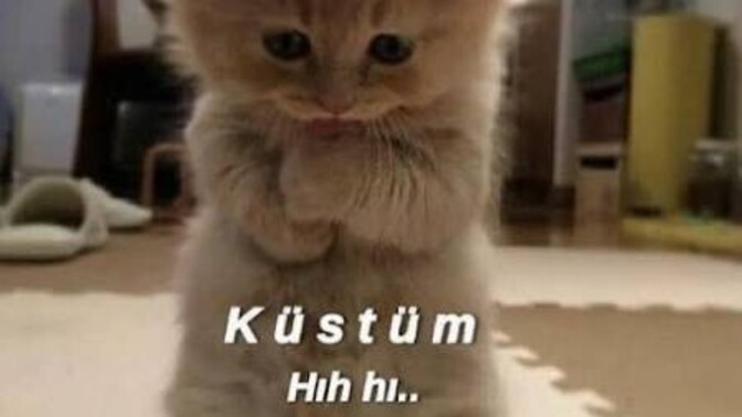 Çabuk küser misiniz?
