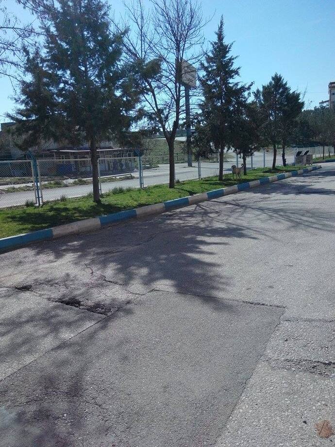 Hayatın size adil davrandığını düşünüyor musunuz?