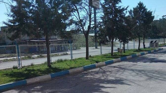 Hayatın size adil davrandığını düşünüyor musunuz?